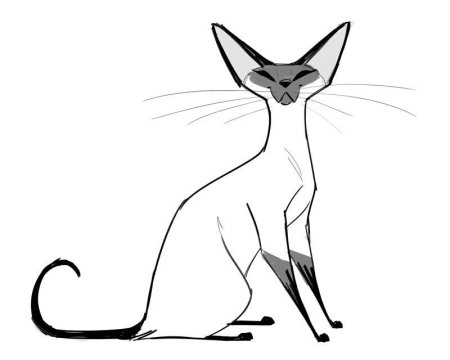 Сиамская кошка