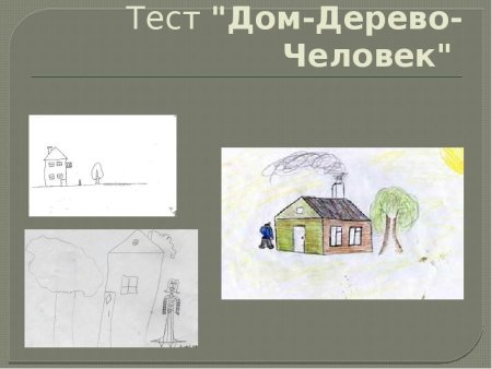Проективная методика дом дерево человек