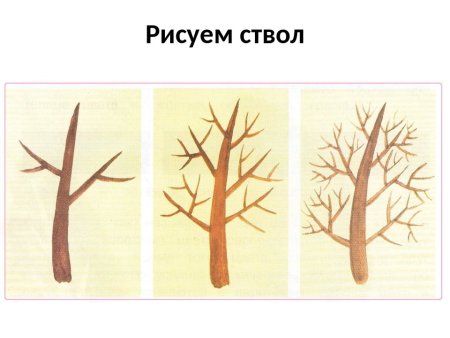 Рисование дерева в средней группе