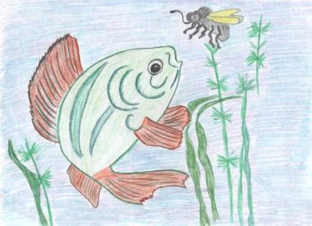 Лиса плясунья Бианки