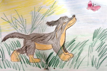 Бианки конкурс рисунков