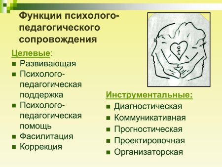 Социально педагогические функции