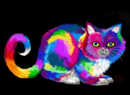 Радужная кошка