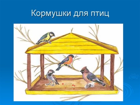 Рисование птицы на кормушке