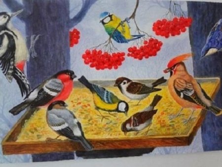 Зимующие птицы рисунок