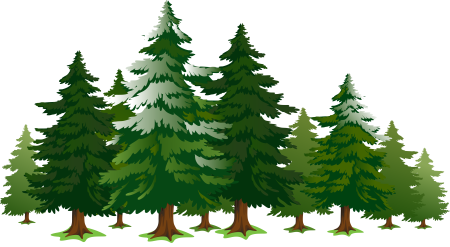 Маленькая елочка в лесу