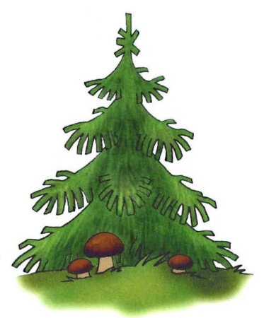 Деревья для детского сада ель