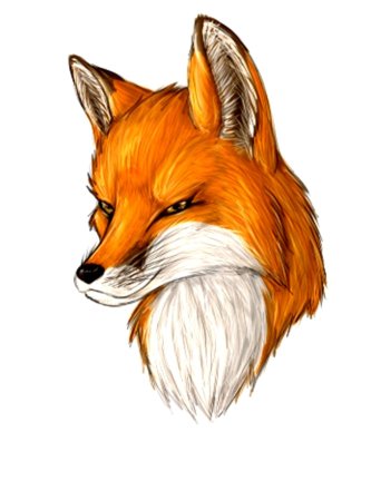 Голова лисы