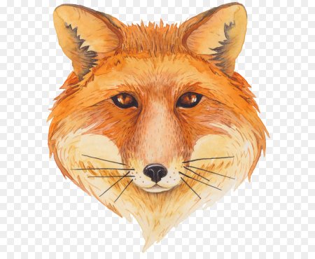 Мультяшные морды