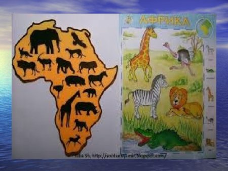 Материк Африка для дошкольников