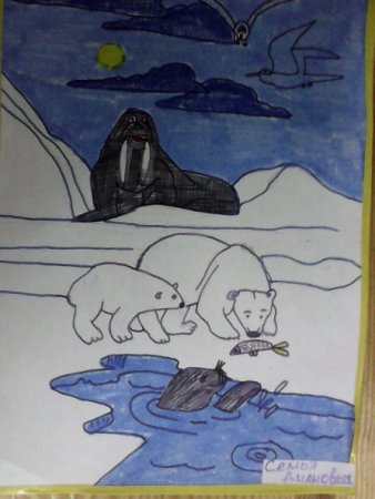Арктика рисунок