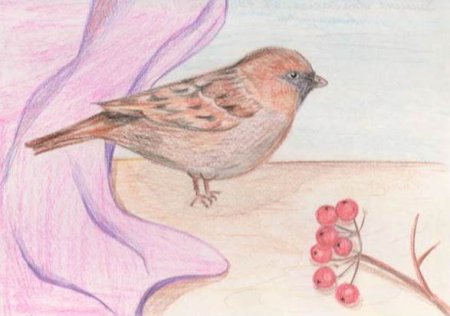 Иллюстрация к растрепанному воробью