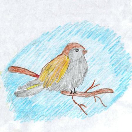 Иллюстрация к сказке растрепанный Воробей