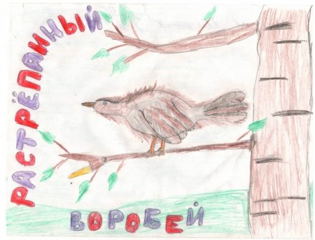 Рисунок к произведению Паустовского растрепанный Воробей