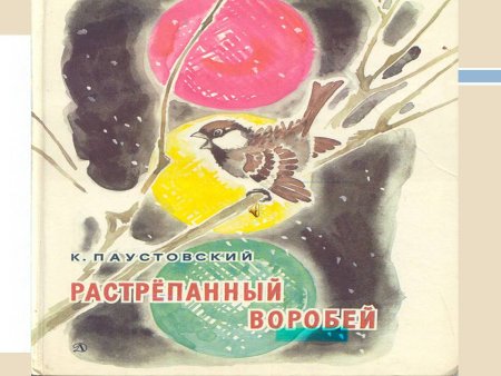 Иллюстрации к рассказу Паустовского растрепанный Воробей