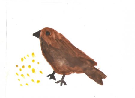 Взъерошенный Воробей рисунок