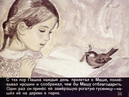 Иллюстрации к рассказу Паустовского растрепанный Воробей