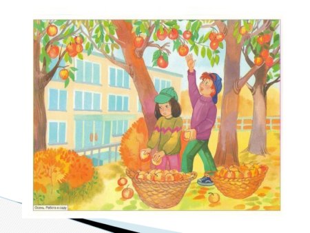 Труд людей осенью