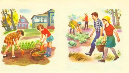 Уборка урожая для детей