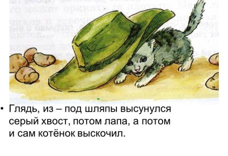 Живая шляпа Николай Носов рисунок