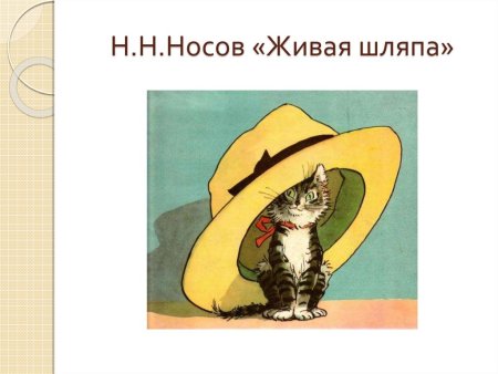 Носов Живая шляпа рисунок для читательского дневника