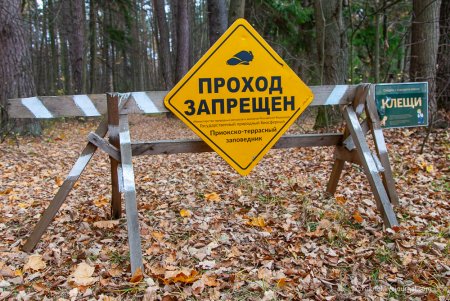 Заповедник проход запрещен