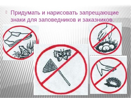 Запрещающие знаки в заповеднике