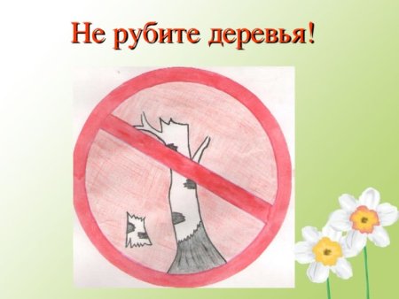 Экологические знаки не рубите деревья