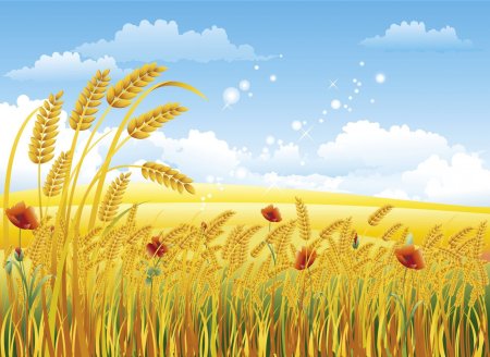 Хлеб наше богатство