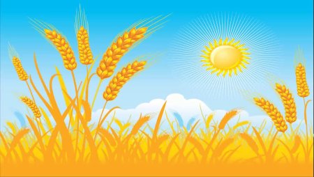 Сад колосья