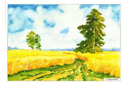 Рисование поле пшеницы