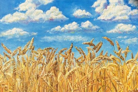 Рисование хлебное поле