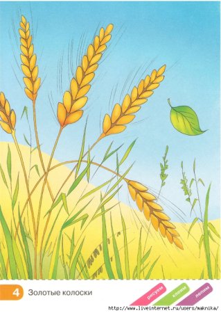 Рисование полей пшеницы детьми