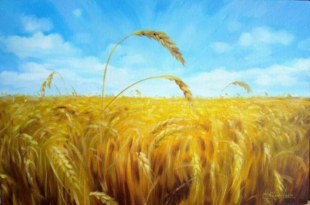 Поле рисунок