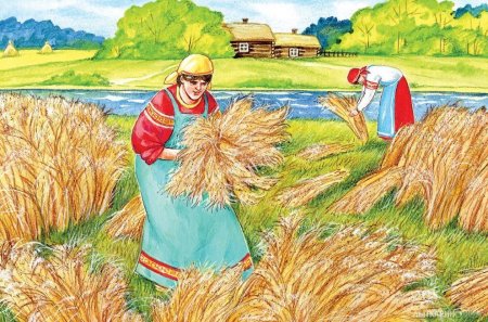 Поле рисунок