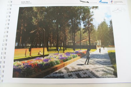 Город Ухта детский парк