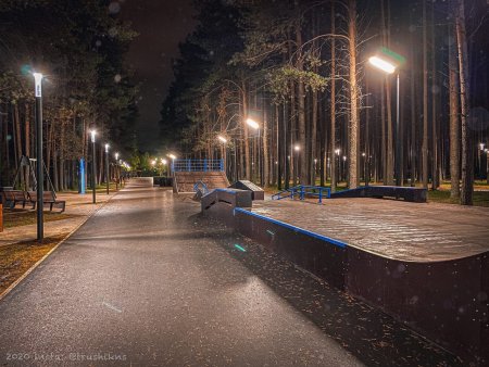 Арт объект дерево