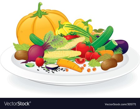 Занятия для малышей овощи