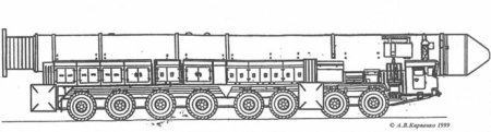 Тополь м раскраска