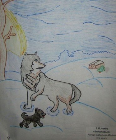 Белолобый Чехов рисунки детей
