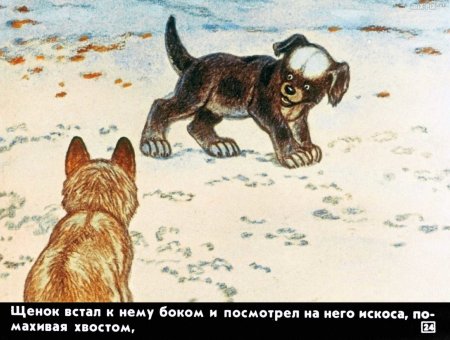 Рисунок на тему белолобый