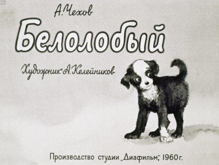 Белолобый Чарушин
