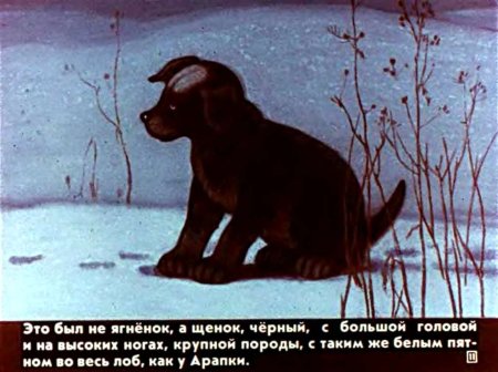 Антон Чехов белолобый рисунки детей