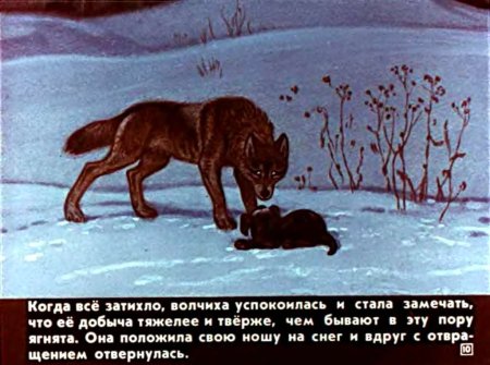 Антон Павлович Чехов белолобый