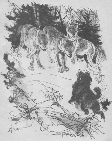 Чехов а.п. "белолобый"