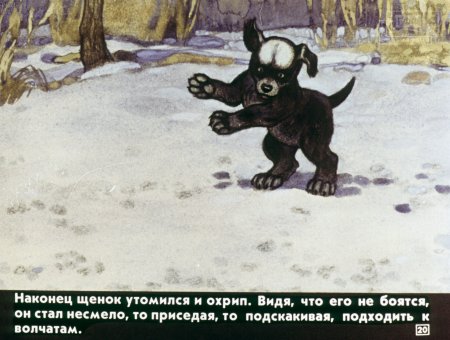 Раскраска к рассказу белолобый