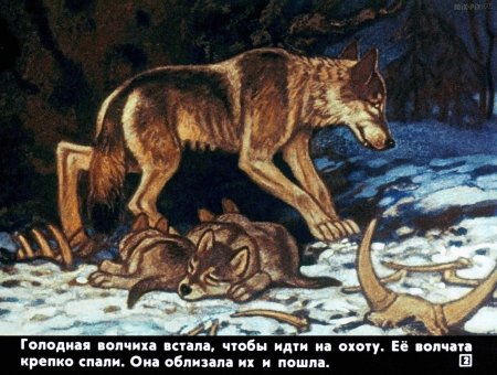 Чехов для детей белолобый