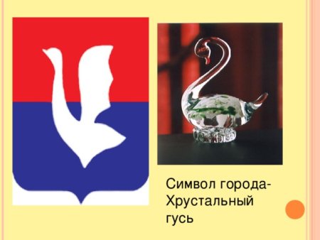 Национальный парк Мещера Гусь-Хрустальный рисунок детей