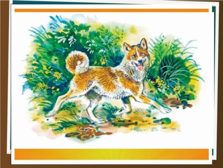 Сказка приёмыш мамин-Сибиряк