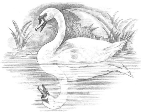 Дмитрий Наркисович мамин-Сибиряк приёмыш